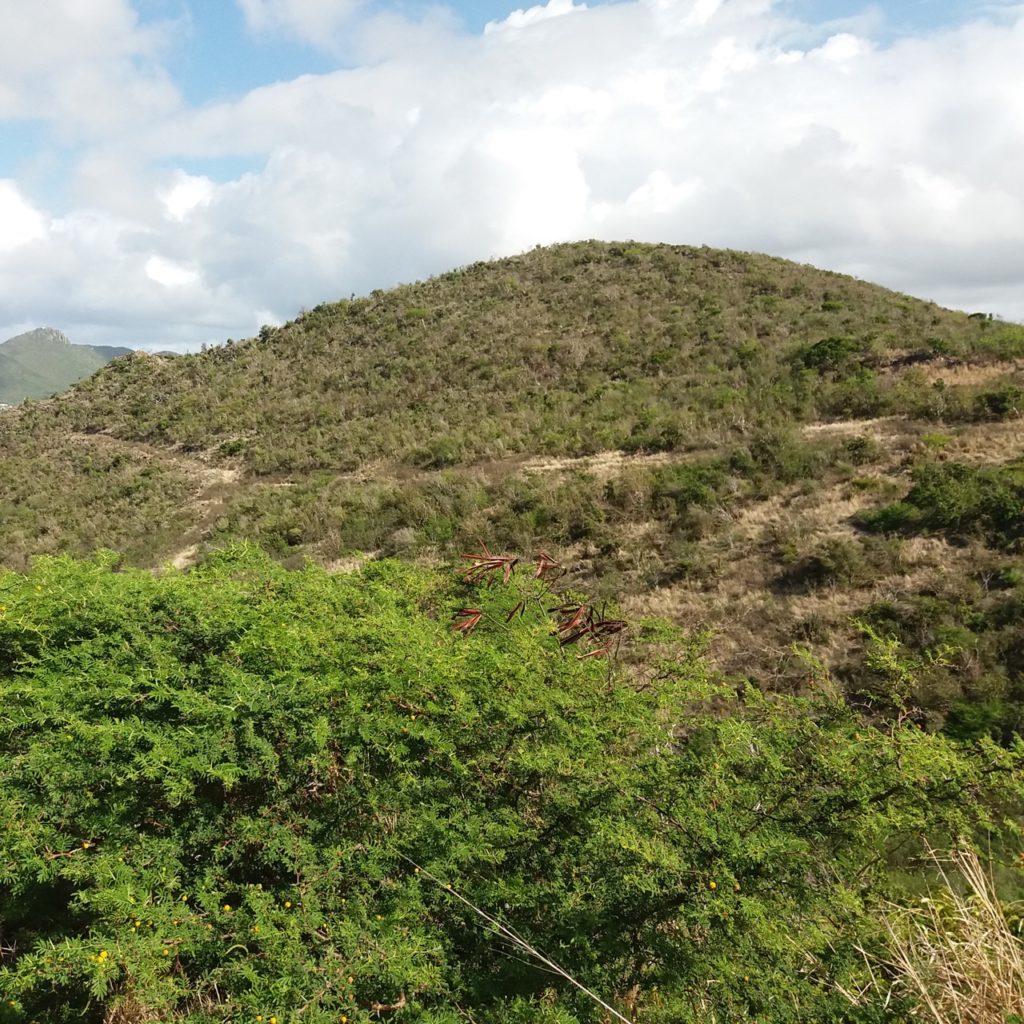 Land for Sale Philipsburg, Caribbean Properties Real Estate St. Maarten, SXM