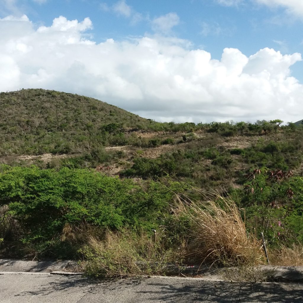Land for Sale Philipsburg, Caribbean Properties Real Estate St. Maarten, SXM