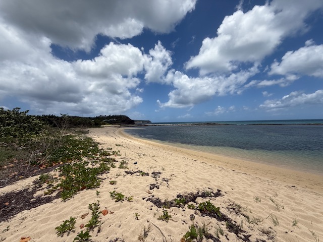 Real Estate St Martin,Beachfront Property, 27 Acres ( 11 Hectare )