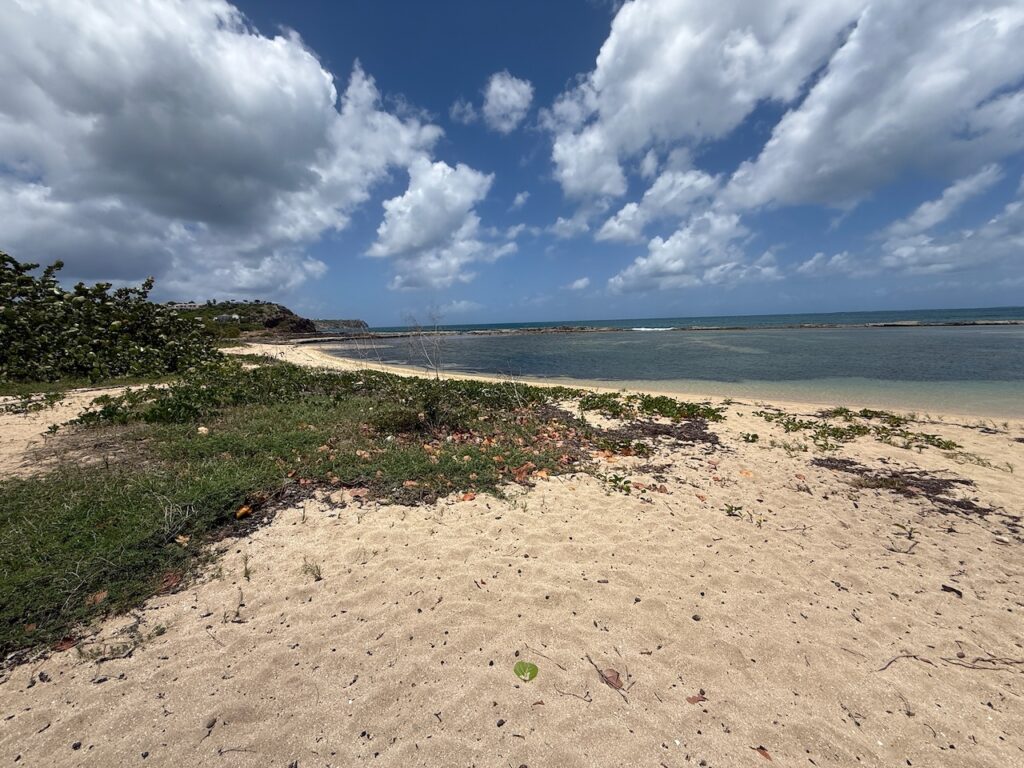 Real Estate St Martin,Beachfront Property, 27 Acres ( 11 Hectare )