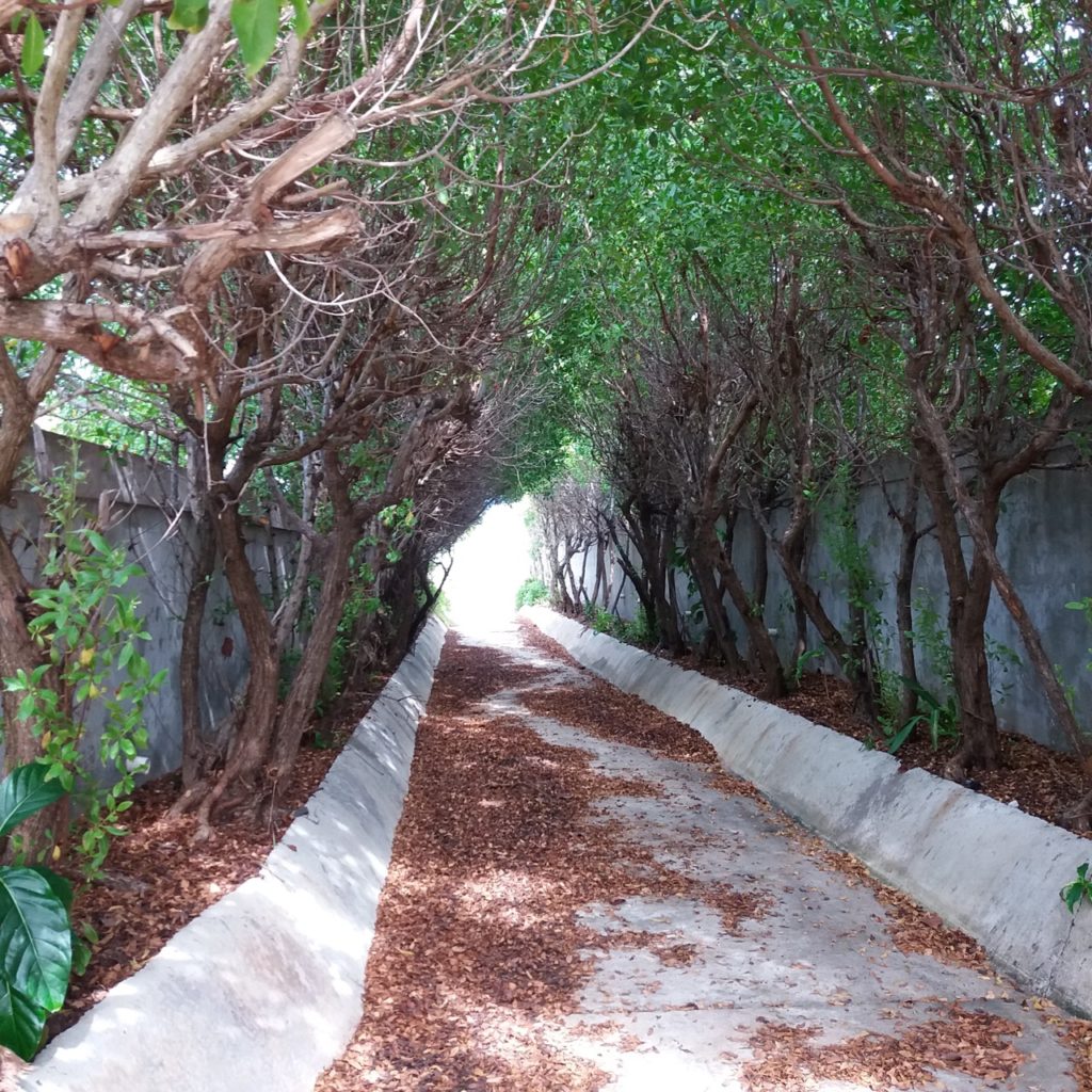 Land at Guana Bay, Parcel of Land for Sale, Sint Maarten Real Estate SXM