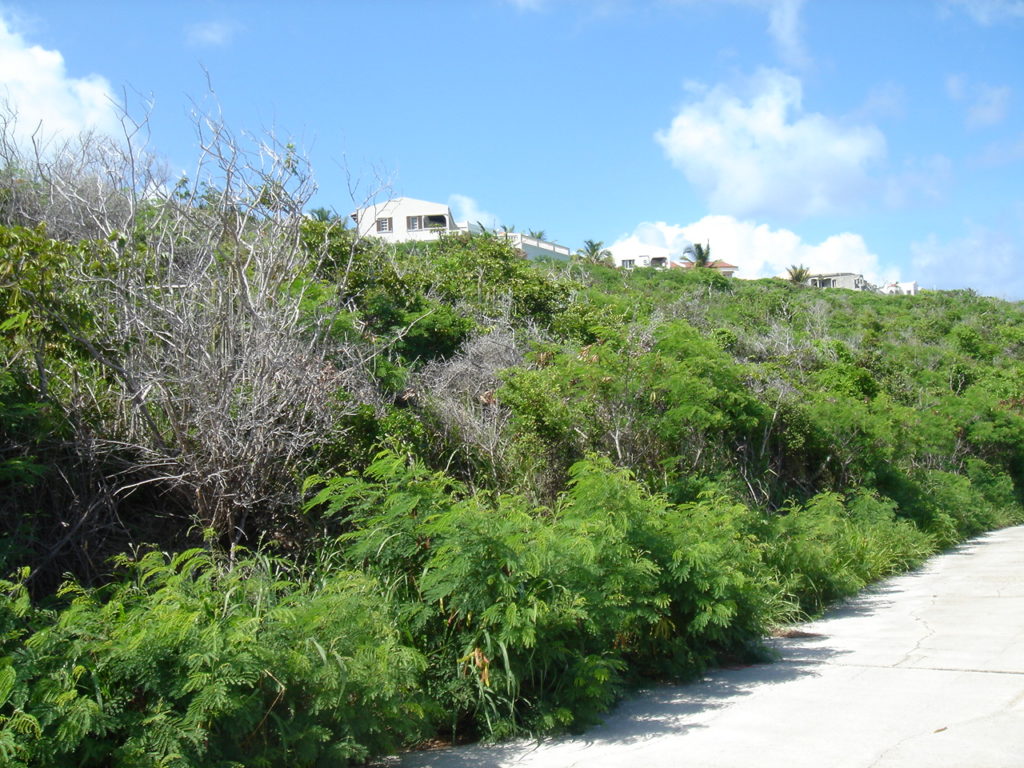 Plot of Land half acre, Red Pond, St. Maarten SXM