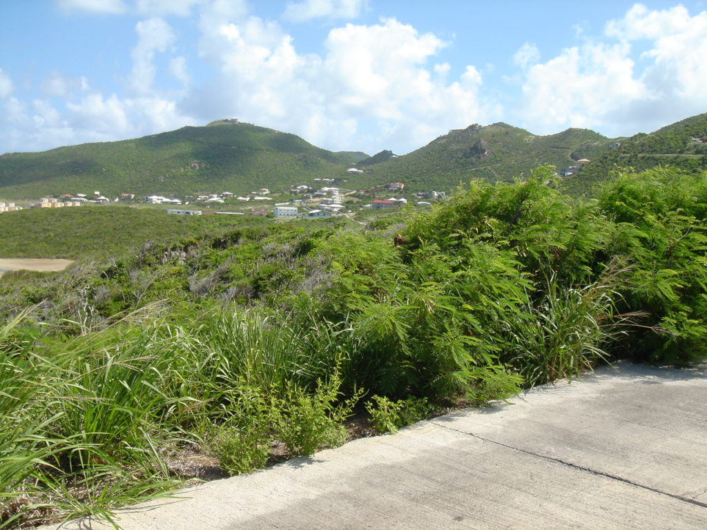 Plot of Land half acre, Red Pond, St. Maarten SXM