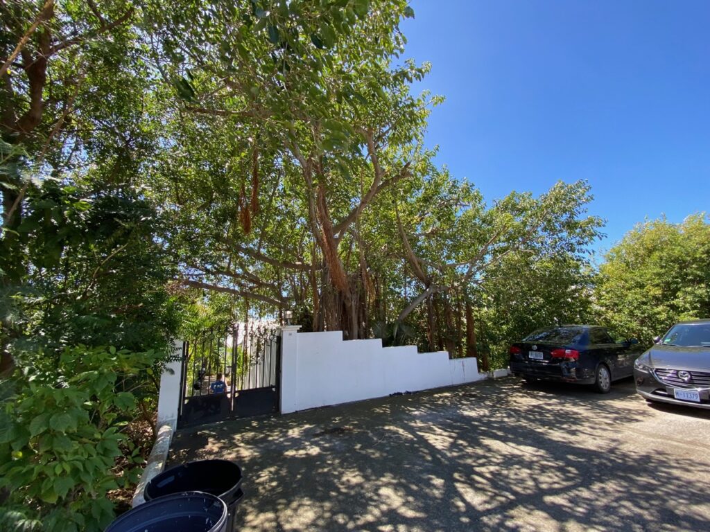 Zircon Villa, Caribbean Properties, Real Estate, Pelican Key St. Maarten SXM