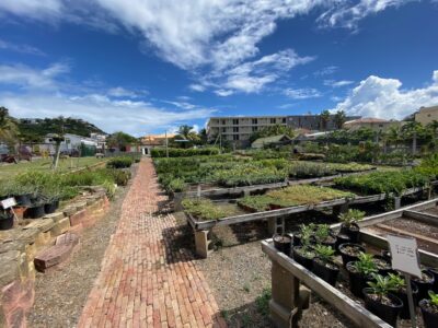 Commercial land for sale
