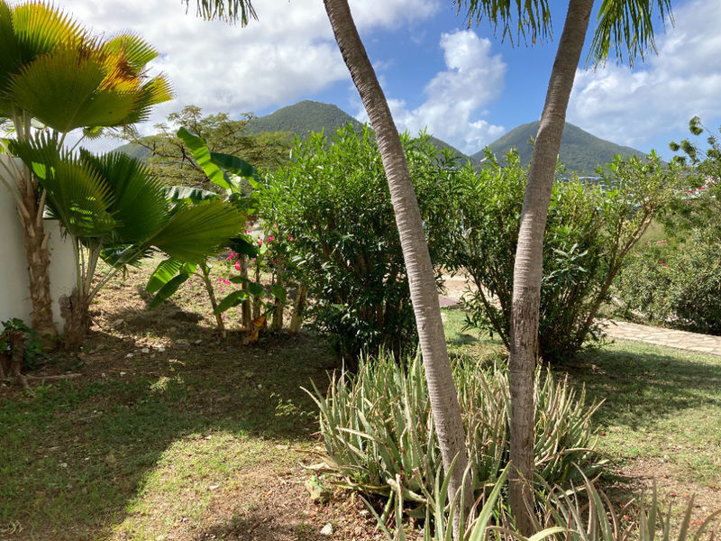 Mt. Vernon Studio Garden, French Cul De Sac, St. Martin SXM