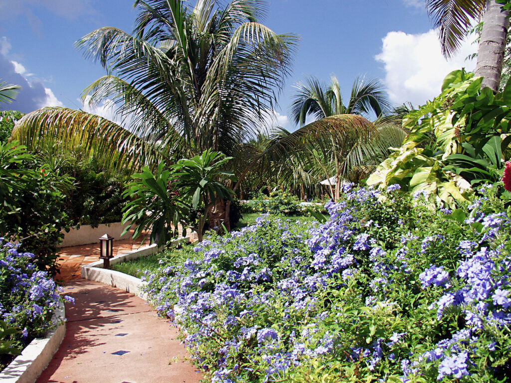 Sapphire Beach Club, 2Br Condo, Cupecoy Real Estate St. Maarten SXM
