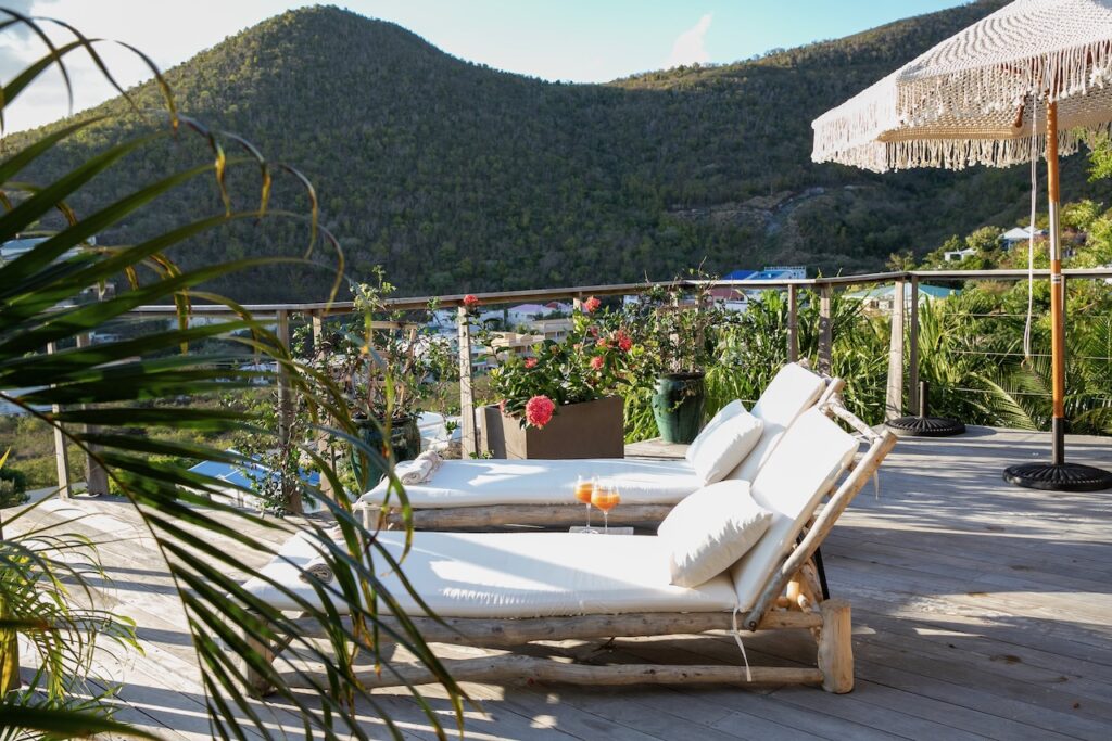 Almond Grove Estate, 3Br and 3 Baths, Infinity Pool, breathtaking views, St. Maarten SXM