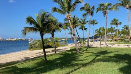 Flamboyant Nettle Bay St. Martin
