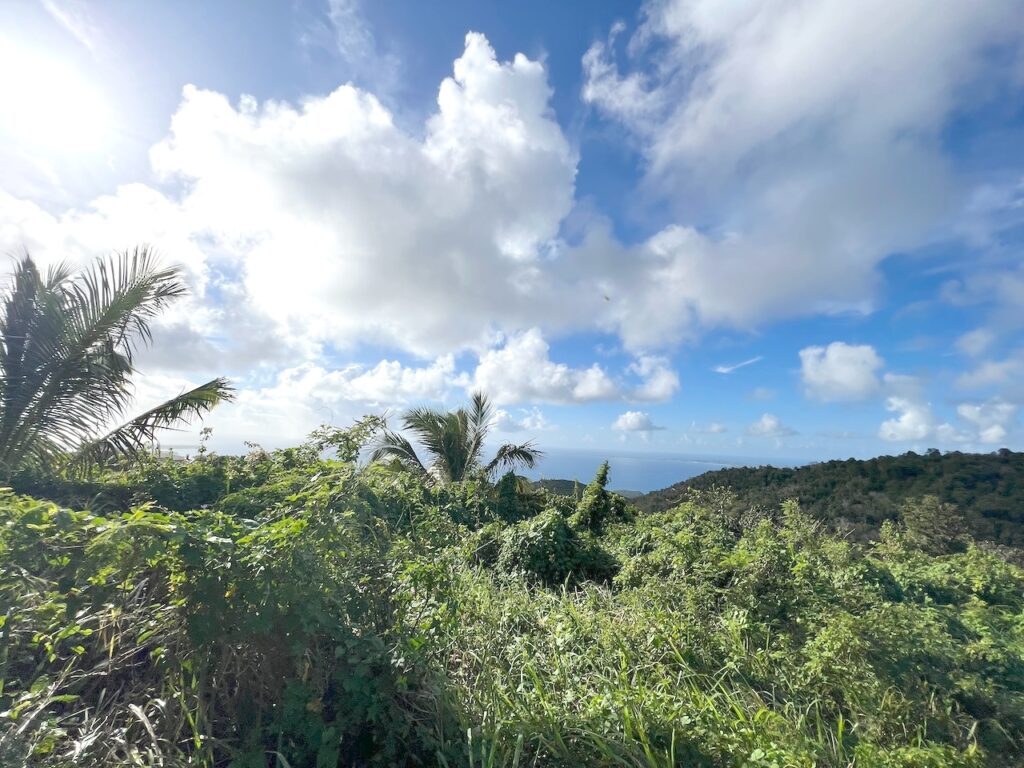 Land  Pic Paradis St. Martin, FWI 97150