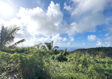 1600M2 land Pic Paradis, Real Estate St. Martin FWI