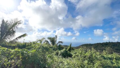 1600M2 land Pic Paradis, Real Estate St. Martin FWI