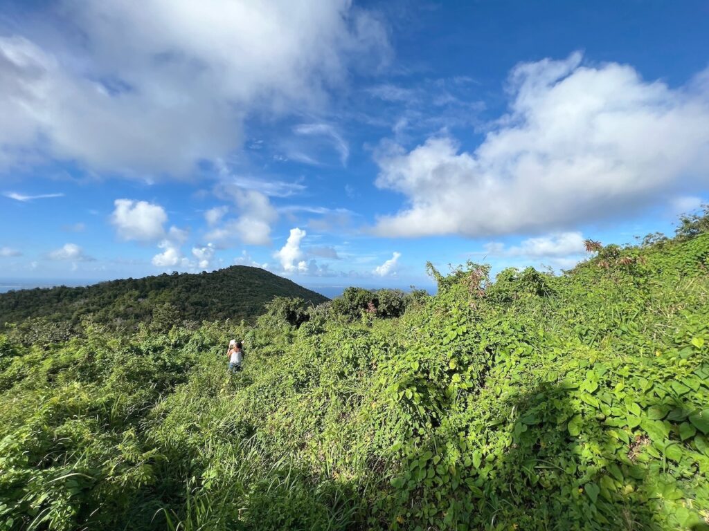 Land  Pic Paradis St. Martin, FWI 97150