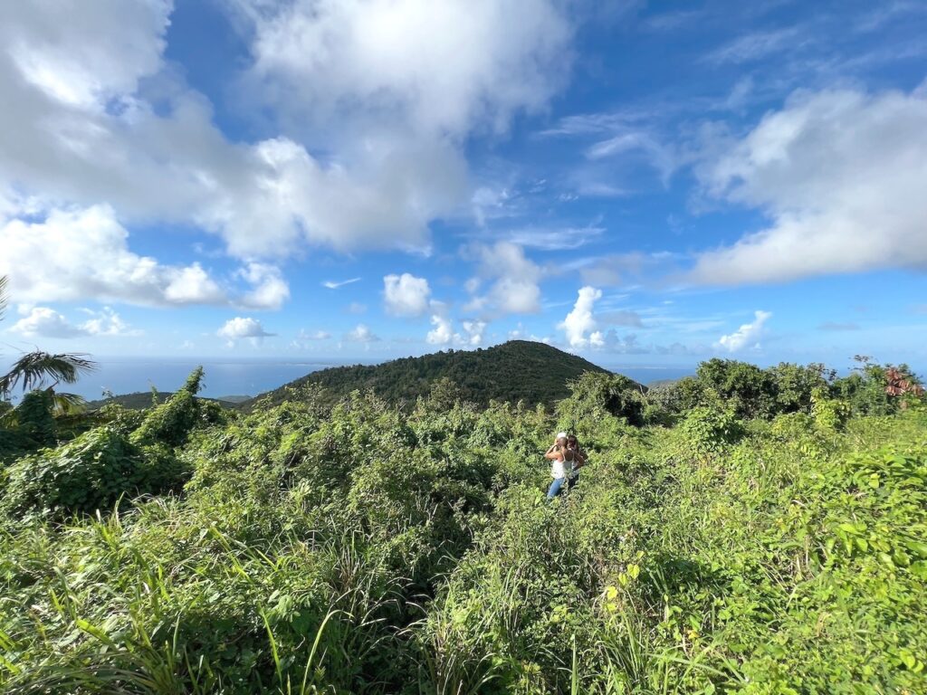 Land  Pic Paradis St. Martin, FWI 97150