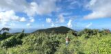 1600M2 land Pic Paradis, Real Estate St. Martin FWI