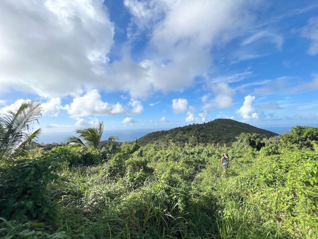 Land  Pic Paradis St. Martin, FWI 97150