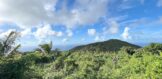 1600M2 land Pic Paradis, Real Estate St. Martin FWI