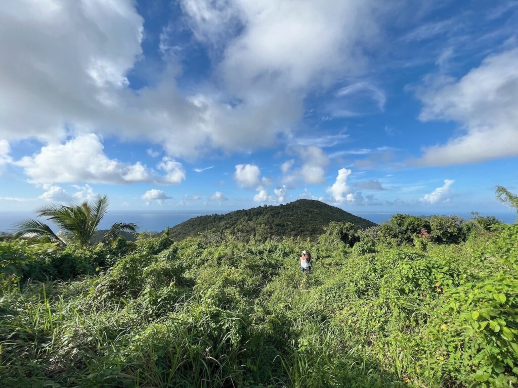 Land  Pic Paradis St. Martin, FWI 97150