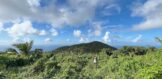 1600M2 land Pic Paradis, Real Estate St. Martin FWI