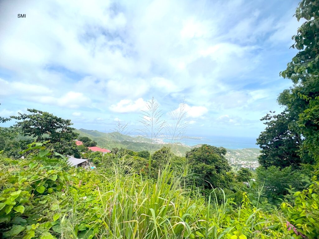 Pic Paradis St. Martin’s Hidden Gem Awaits You!  SMI Realtors