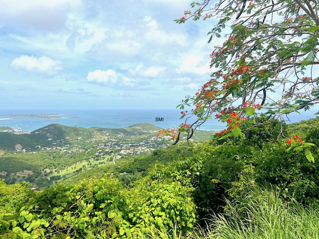 Pic Paradis St. Martin’s Hidden Gem Awaits You!  SMI Realtors