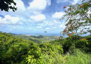 Pic Paradis St Martin SXM Real Estate LAnd for sale rare find