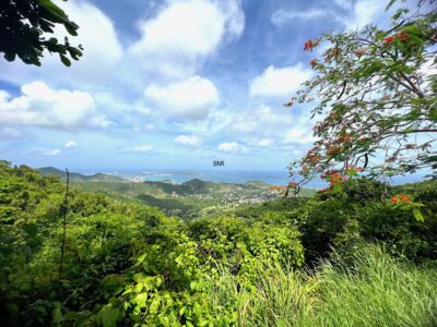 Pic Paradis St Martin SXM Real Estate LAnd for sale rare find