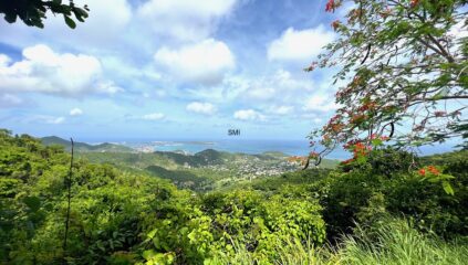 Pic Paradis St Martin SXM Real Estate LAnd for sale rare find
