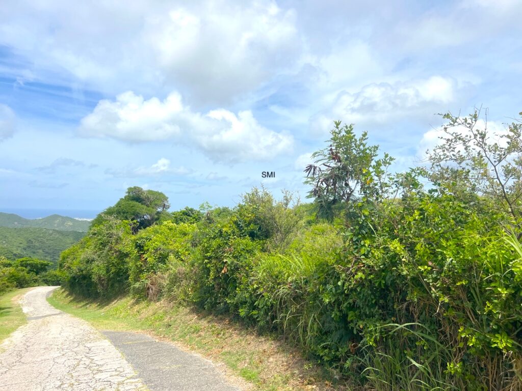 Pic Paradis St. Martin’s Hidden Gem Awaits You!  SMI Realtors