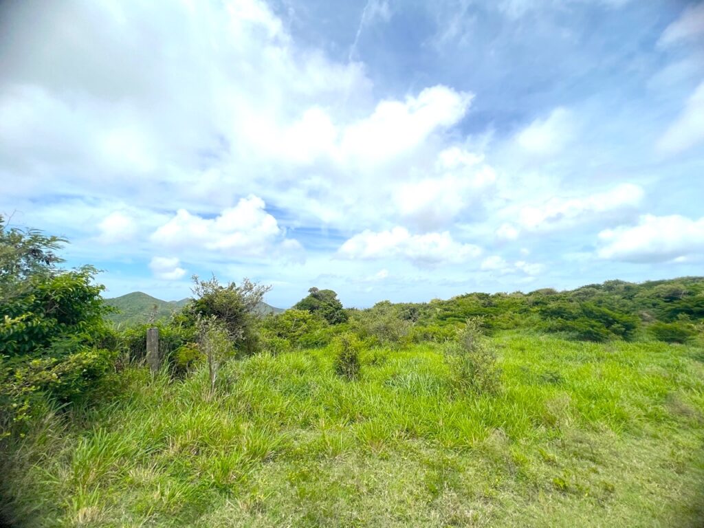 Pic Paradis St. Martin’s Hidden Gem Awaits You!  SMI Realtors