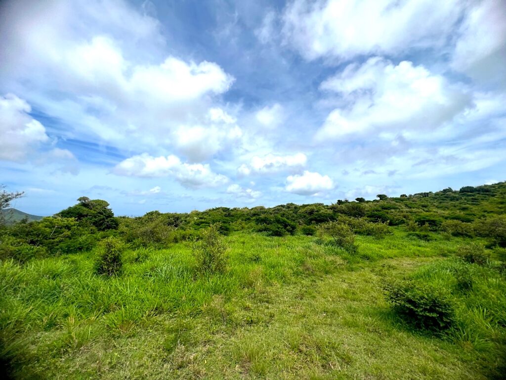 Pic Paradis St. Martin’s Hidden Gem Awaits You!  SMI Realtors
