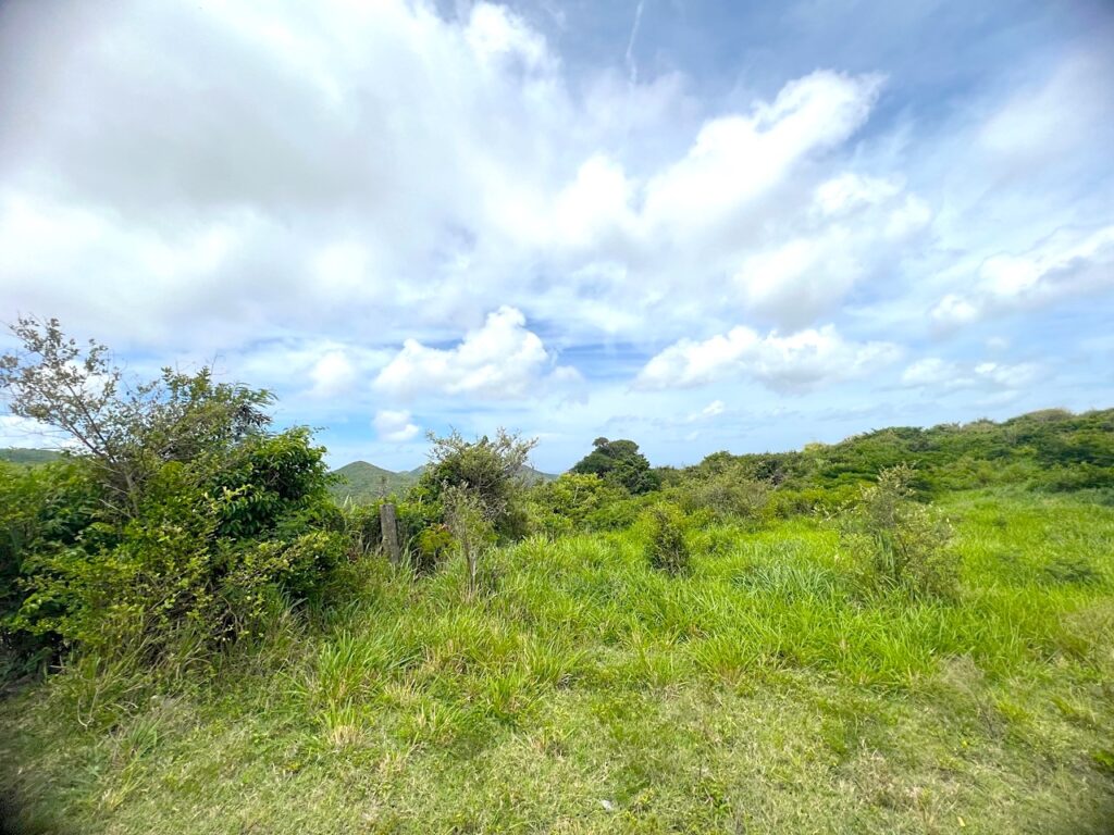 Pic Paradis St. Martin’s Hidden Gem Awaits You!  SMI Realtors