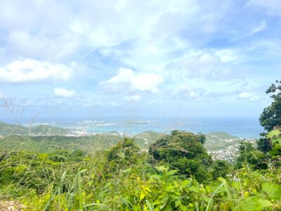 plot of land for sale sxm
