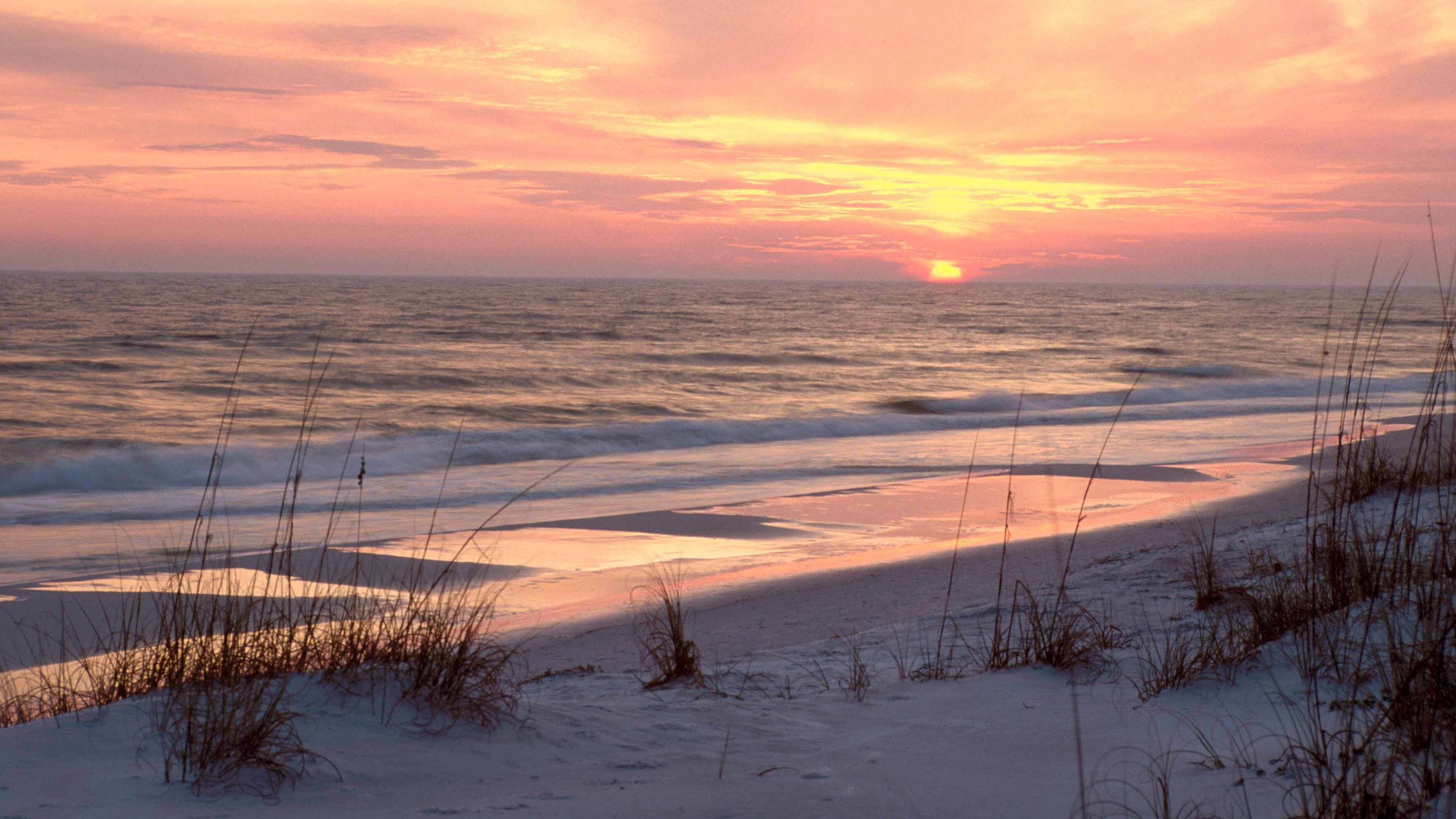 Gulf Shores