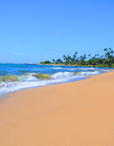 Island Lifestyle