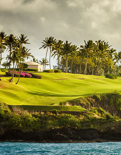 Island Lifestyle