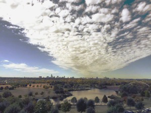 Leasing at Mueller Austin Update