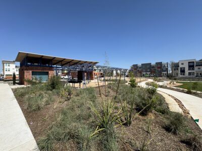 Image of some of the plantings at Taniguchi Park