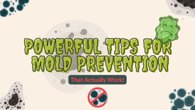 Mold Prevention Tips For Your Home