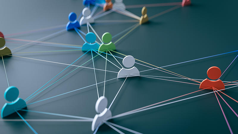 Curated Professional Network