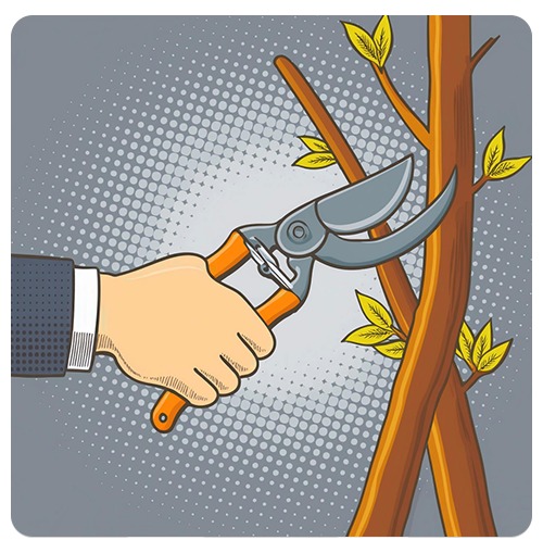 Cleanup Checklist