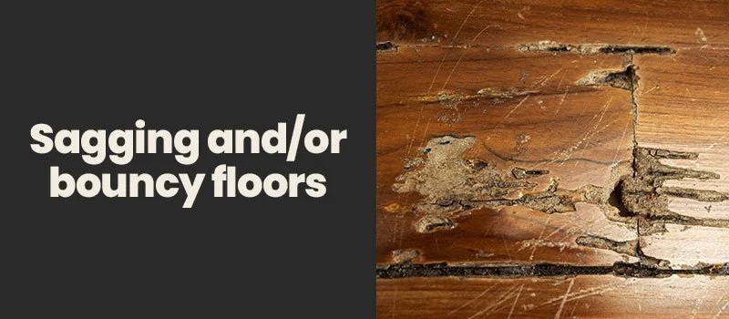 Signs of Foundation