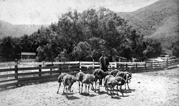 History of Griffith Park