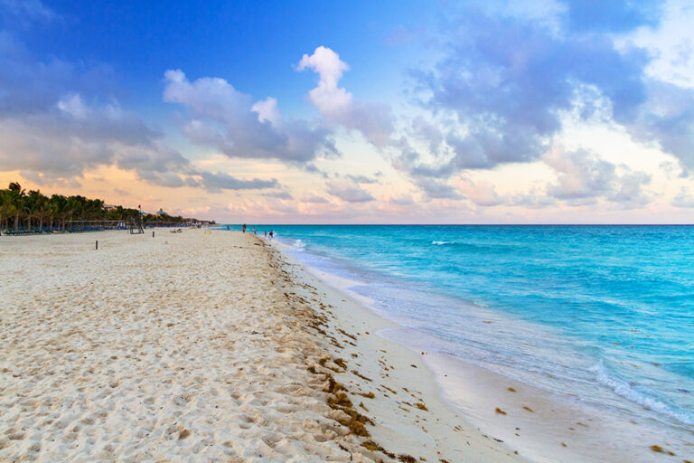 Lets Playa / Discover Why Playa del Carmen Is the Smartest Investment in 2025