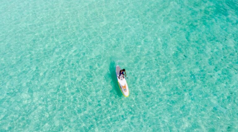 Puerto Vallarta vs. Riviera Maya: Where Should You Retire or Relocate in Mexico?