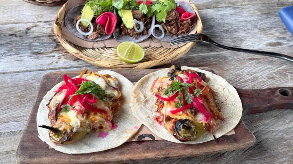 A beautifully presented contemporary Mexican dish featuring local organic Quintana Roo ingredients at a high-end Bacalar restaurant.