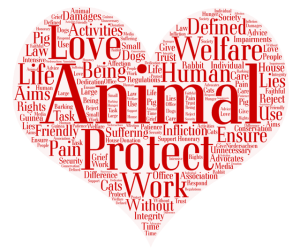 Image is a heart-shaped word cloud with words like animal, love, and protect in it.