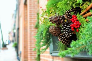 Image is a close up of Christmas boughs and berries against a red brick wall. Image is a close up of Christmas boughs and berries against a red brick wall.