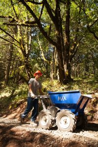Image is a male construction worker building a trail in the woods. Image is a male construction worker building a trail in the woods.