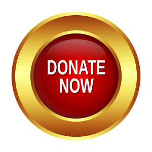 Image is a Donate Now button.